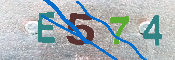 CAPTCHA Resmi